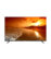 EcoStar CX-43UD963 TV price in Lahore, EcoStar Android TV 43 inch, 4K UHD TV Lahore, Best EcoStar TV in Pakistan, ST Electronics Lahore, EcoStar TV shop near me, Android 11 TV 43 inch, Frameless EcoStar TV 43", EcoStar LED TV Lahore, Buy EcoStar TV Online Lahore, samsung q60b price in pakistan, samsung qled 55 inch price in pakistan, samsung qled 65 price in pakistan, samsung q60b 55 inch, samsung q60c, samsung q60d, samsung q70c 65 inch price in pakistan, samsung q60c 4k qled smart tv, samsung q60b qled 4k hdr smart tv price, samsung q60b qled 4k hdr smart tv specs, samsung q60b qled 4k hdr smart tv 43 inch, samsung q60b qled 4k hdr smart tv manual