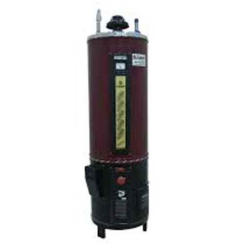 i-zone 55GLN Deluxe Twin Electric Gas Geyser