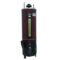 i-zone 55GLN Deluxe Twin Electric Gas Geyser