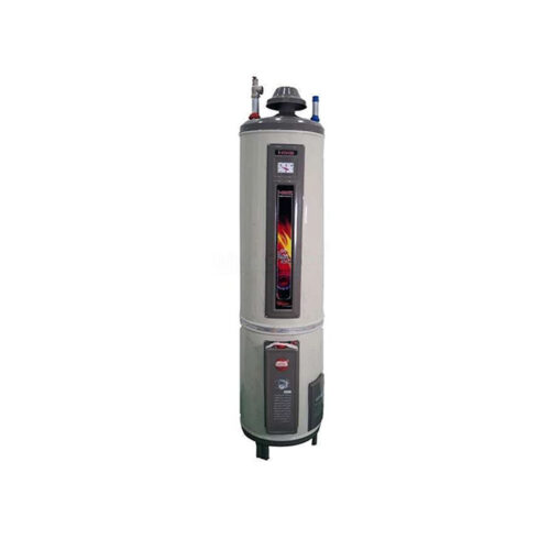 i-Max 25-GLN Std Twin Electric Gas Water Geyser